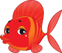an orange fish